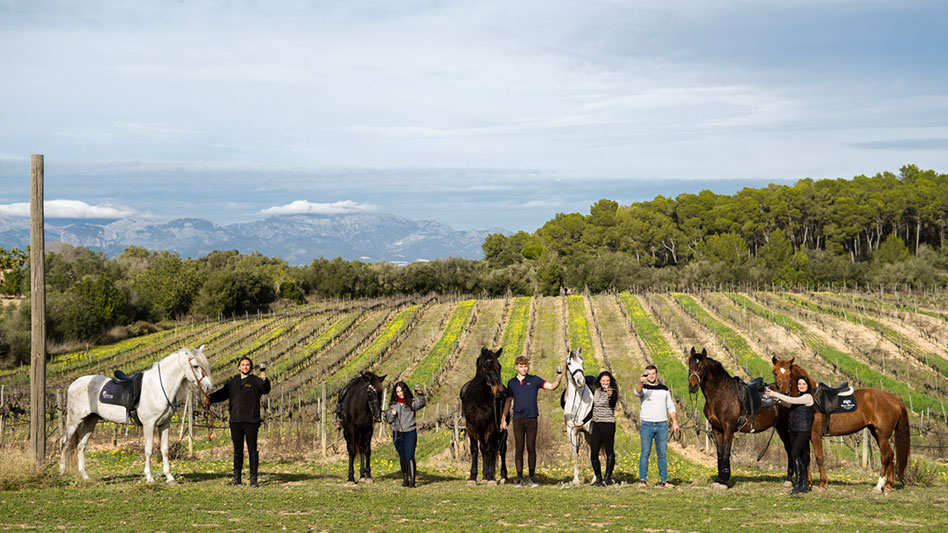 Excursión a caballos y vinos