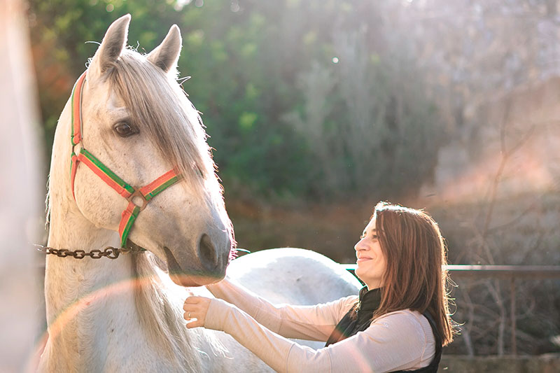 caballos andaluces en Mallorca