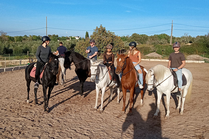 Curso básico durante 3 días