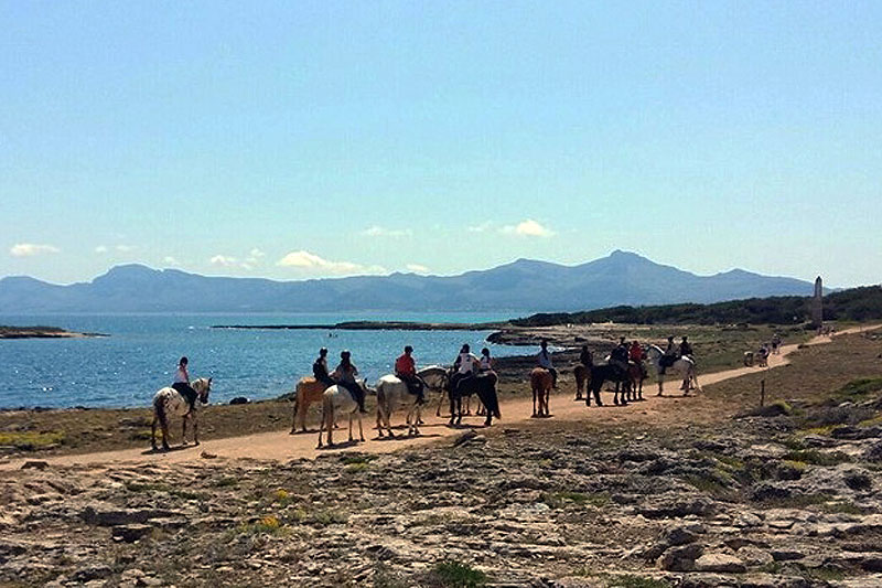 Ruta a caballo en Mallorca