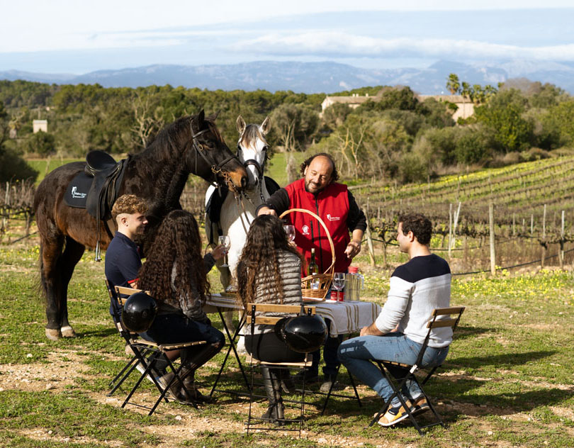 vinedo2 Pinic a caballo
