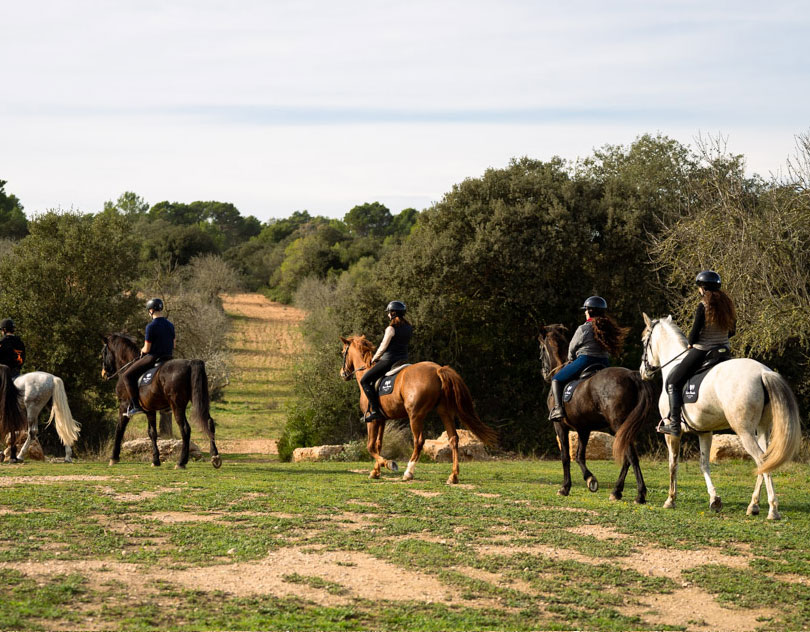 vinedo3 a caballo a través de los viñedos de Mallorca.