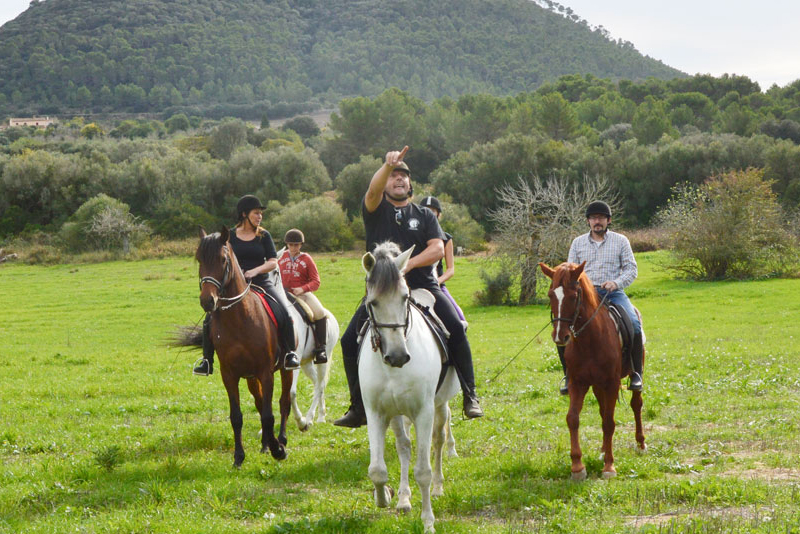 Información sobre excursiones en Mallorca Horses