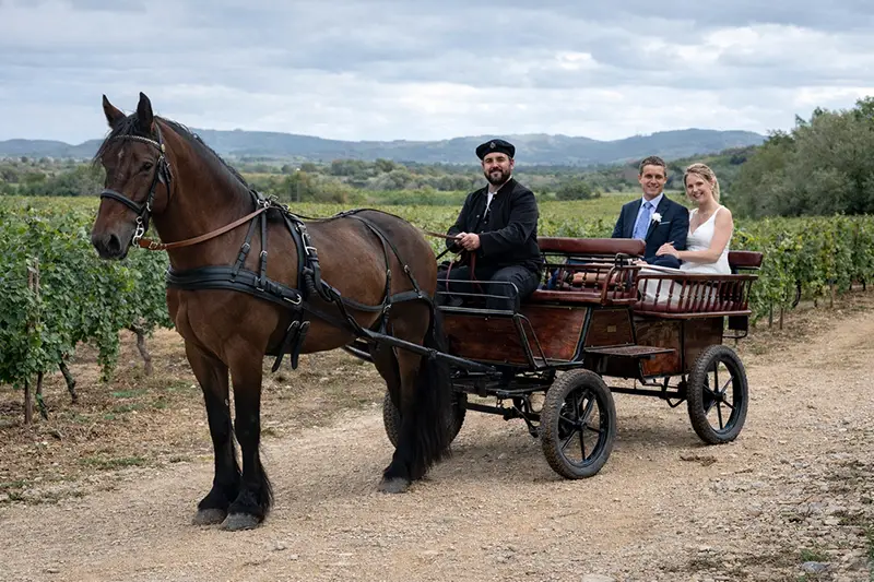 Experiencia paseo en carruaje en Mallorca